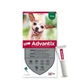 Bayer Animal health