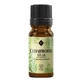 Ulei esential de Cedru Atlas, 10 ml, Ellemental