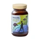 Health Labs ShroomMe Men Crin de leu și Chaga, 45,5 g