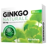 Erbafarm Ginkgo Naturale, 60 tabletten