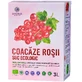 Jus de groseille ECO 3L (RO-ECO-029)