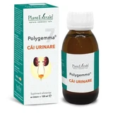 Polygemma 7 Urinaire Paarden, 120 ml, Plantenextrakt