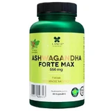 LANCO NUTRITIONS Ashwagandha Forte Max Uw weerstand tegen stress, 60 capsules
