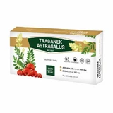GINSENG Extrait d'astragale, 10x10 ml