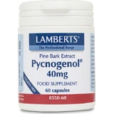 Lamberts Pycnogenol 40mg Food Supplement Special 60 caps