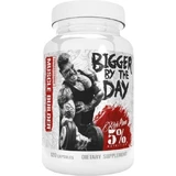Rich Piana 5% Nutrition Bigger By The Day Testosterone Boosting Supplement 120 caps ''''