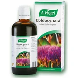 A.Vogel Boldocynara Tintura 50ml