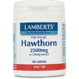 Lamberts Meidoorn 2500mg 60 dossiers