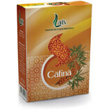 Catina Tee, 75 g, Larix