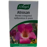 A.Vogel Atrosan Devil's Claw 60 file ''''