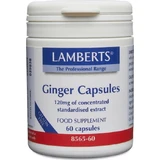 Lamberts Ginger 60 caps