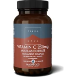 TerraNova Vitamin C Vitamin zur Stärkung des Immunsystems, der Haut und der antioxidativen Wirkung 250mg 50 pflanzliche Kapseln
