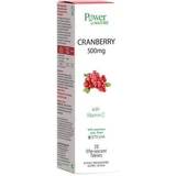 Power Of Nature Veenbes met Vitamine C & Stevia 20 plakjes