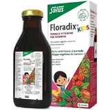 Salus Haus Floradix Kids 250ml