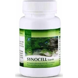 Metapharm Synocell Speciaal Voedingssupplement 60 caps