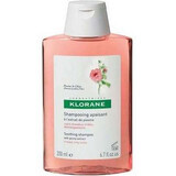 Shampoo für gereizte Kopfhaut mit Pfingstrose, 200 ml, Klorane