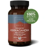 Newfoundland Fermented Ashwagandha Fermanolide 50 Capsules Végétariennes