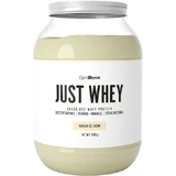 GymBeam Just Whey Protéine de lactosérum avec arôme de crème glacée à la vanille 1kg