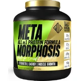 GoldTouch Nutrition Metamorphosis Metamorphosis All in 1 Protein Formula Whey Protein with Creatine & Flavor Belgian Chocolate 2kg