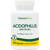 Nature's Plus Acidophilus Probiotique 100mg avec pectine 90 gélules