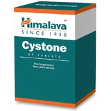 Himalaya Wellness Cystone Cystone Special Dietary Supplement 60 tabs