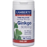 Lamberts Time Release Ginkgo 180 bestanden