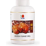 DXN Reishi Gano-rg 360 capable