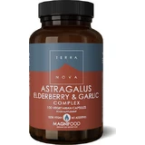 TerraNova Astragalus Elderberry & Garlic Immune Boosting Supplement 100 gélules végétales