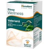 Himalaya Wellness Valeriaan 60 tabletten