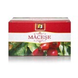 Thé Macese, 20 sachets, Stef Mar Valcea