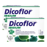 Dicoflor Ibsium, 2x 20 kapsułek