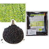 Graines de sésame noir, 250 g, Managis