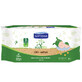 Lingettes biod&#233;gradables Eco Life, 60 pi&#232;ces, Septona