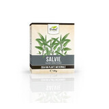 Thé à la sauge, 50 g, Dorel Plant