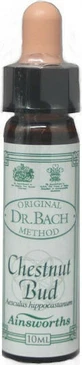 Ainsworths Bourgeon de Châtaignier Essence Florale Gouttes 10ml