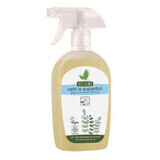 Eco solution for windows and surfaces with Ecosi lemon oil, 500 ml, Pierpaoli