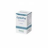 CYSTOPRO pour chiens et chats - 120 gélules