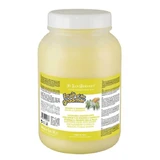 Iv San Bernard Shampoo with Ginger and Elder, for dogs and cats, 3250 ml