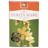 Thé de grande turita, 50 g, Stef Mar Valcea