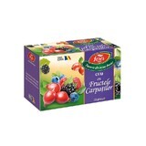 Ceai Fructele Carpaților Aromfruct, 20 plicuri, Fares