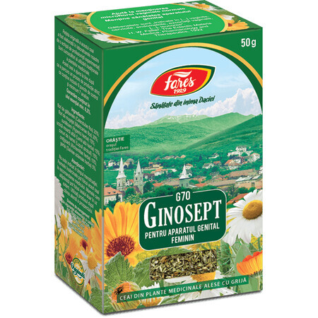 Ginosept Tee, G70, 50 g, Fares