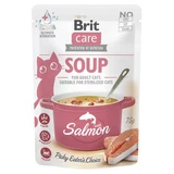 Zalm soep voor katten, 75 g, Brit