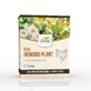 Hemoro-Plant Healthy Colon Tea, 150 g, Dorel Plant