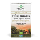 Tulsi Tummy Tea, 18 sachets, Inde biologique