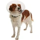 Buster Design Elizabethaanse Bouw Ketting 12,5cm, 10 stuks.