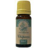 Ätherisches Zypressenöl, 10 ml, Herbal Sana