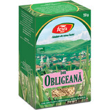 Thé aux racines d'Obligeana, D46, 50 g, Fares