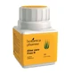 Botanicapharma Aloe Vera 60 tabletek, 500 mg
