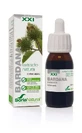 Soria Natural Burdock Extract S Xxi, 50 Ml