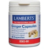 Lamberts Ginger Ginger 60 Capsules